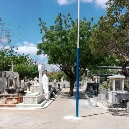 Repercuss�o negativa faz vereadora retirar projeto que sepultaria animais em t�mulos de familiares em Patos