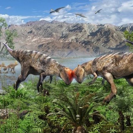 Entenda como os paleont�logos descobrem os h�bitos dos dinossauros