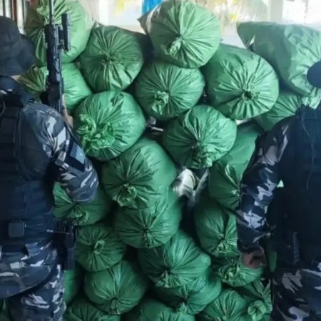 Homem � preso e aproximadamente 430 kg de maconha s�o apreendidos em Sum�-PB