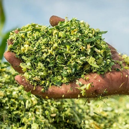 Prefeitura de S�o Jos� do Bonfim produz silagem para auxiliar agricultores na alimenta��o de animais 