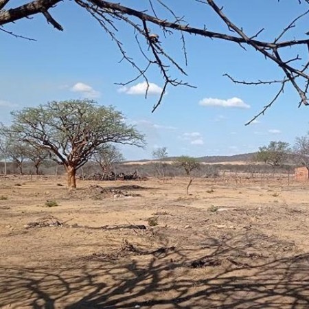 Estado da Para�ba tem 146 munic�pios em situa��o de emerg�ncia por desastres naturais