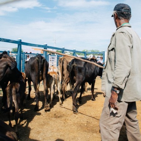 Feira do Gado de Patos funcionar� normalmente no feriado de 7 de Setembro