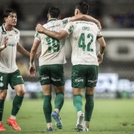 Palmeiras retoma a ca�a ao Flamengo no Brasileir�o com mais jogos em casa