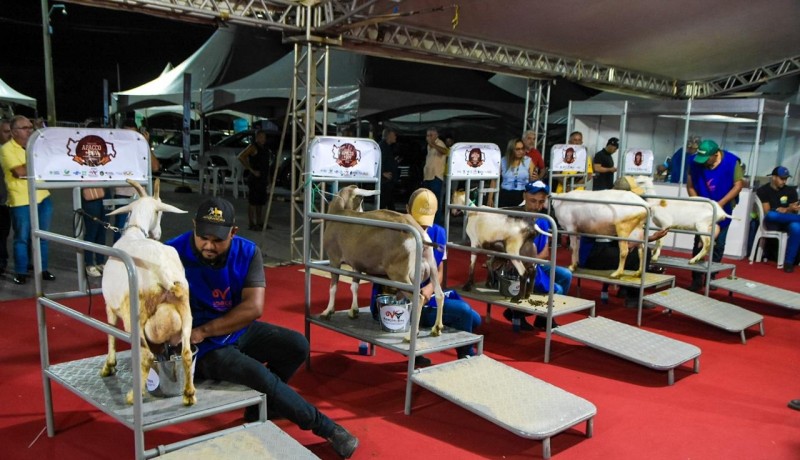 ExpoPatos 2026 inicia atividades com foco na cadeia produtiva do leite