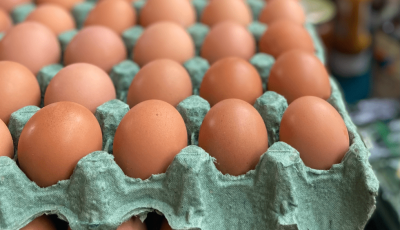 Brasil bate recorde hist�rico na exporta��o de ovos em 2025; veja n�meros