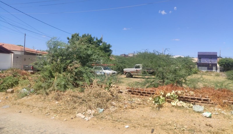 Secretaria de Meio Ambiente intensifica fiscaliza��o em terrenos de Patos