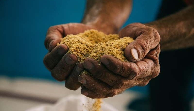 Secretaria de Agricultura de Patos acompanha entrega de ra��o animal no Polo Regional