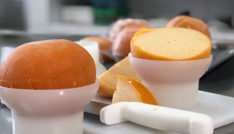 Pesquisadores da UFPB desenvolvem queijo do reino produzido com leite de cabra