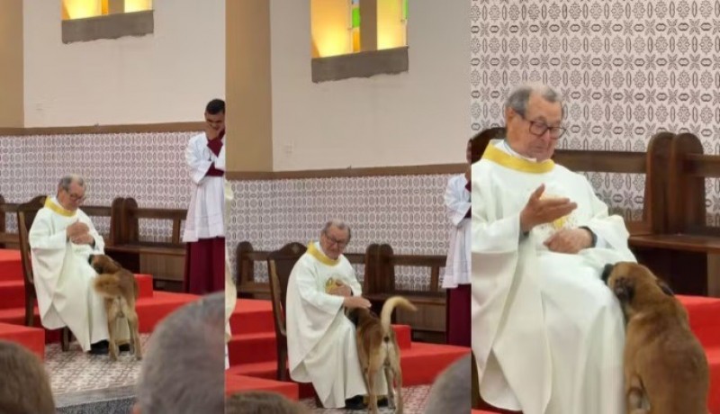 Cachorro sobe em altar durante missa e fica ao lado de padre no interior da Para�ba