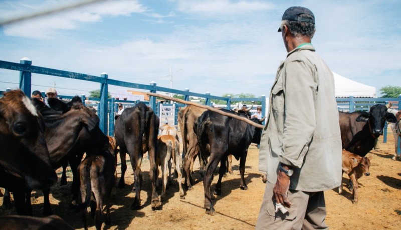 Feira do Gado de Patos funcionar� normalmente no feriado de 7 de Setembro