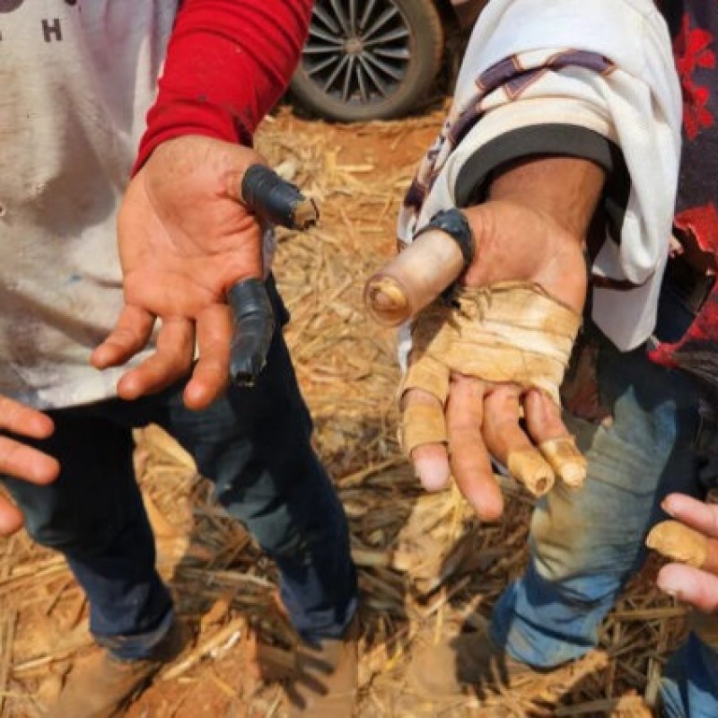 Para�ba tem 18 empregadores em lista do Governo Federal por trabalho an�logo � escravid�o