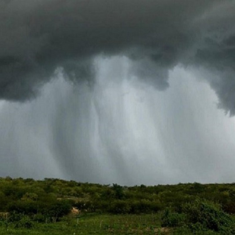 Chove bem em Patos e regi�o nas �ltimas 24h e popula��o fica esperan�osa de bom inverno; veja os �ndices