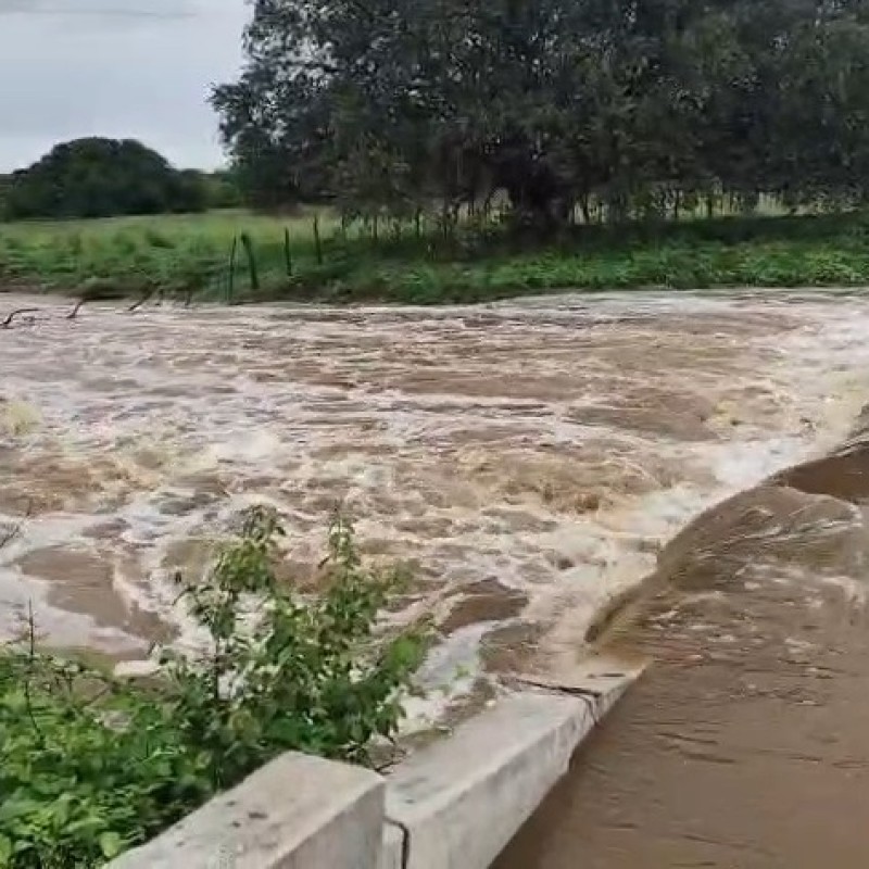 Patos registra maior chuva do ano com mais de 100mm na Zona Norte; previs�o � de mais chuva neste domingo (01)