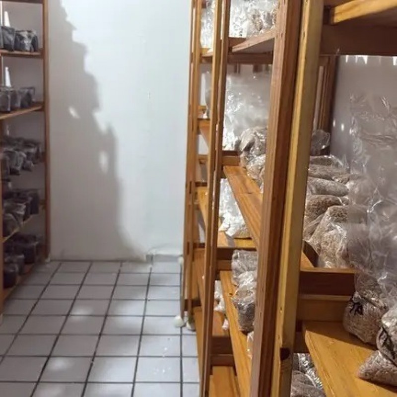 Pol�cia Federal cumpre 11 mandados de pris�o contra grupo suspeito de vender drogas pela internet na Para�ba