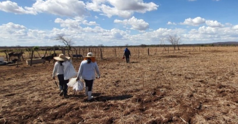 Inmet divulga aviso de clima extremamente seco para Patos e mais de 130 cidades