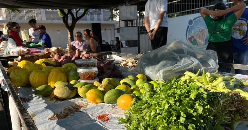 Feira da Agricultura Familiar de Patos completa 18 anos e recebe Jornada Paraíba Produtiva